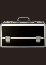 Erovia Sportsheets locking aluminum toy box in matte black with silver hardware and a sturdy carry handle.